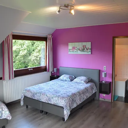 Elegant In With Fitness & Playroom, Cleaning Included Stavelot